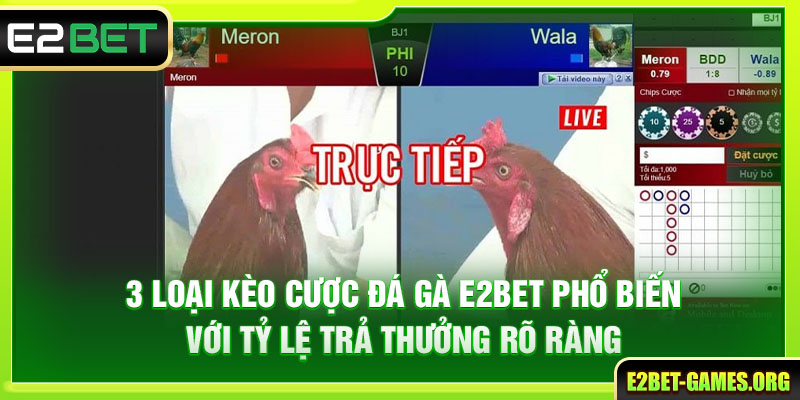 Đá Gà E2BET Mang Lại Trải Nghiệm Kịch Tính Với Tỷ Lệ 1:90 4 3 loại kèo cược đá gà E2BET phổ biến nhất hiện nay