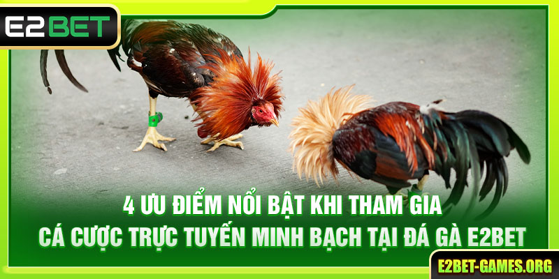 Đá Gà E2BET Mang Lại Trải Nghiệm Kịch Tính Với Tỷ Lệ 1:90 2 4 ưu điểm nổi bật khi cược trực tuyến tại đá gà E2BET