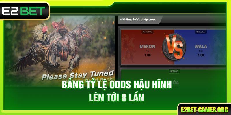 Hình Thức Đá Gà Tiền Thật E2BET Và 5 Bí Kíp Cá Độ Chắc Thắng 3 Bảng tỷ lệ odds hậu hĩnh lên tới 8 lần