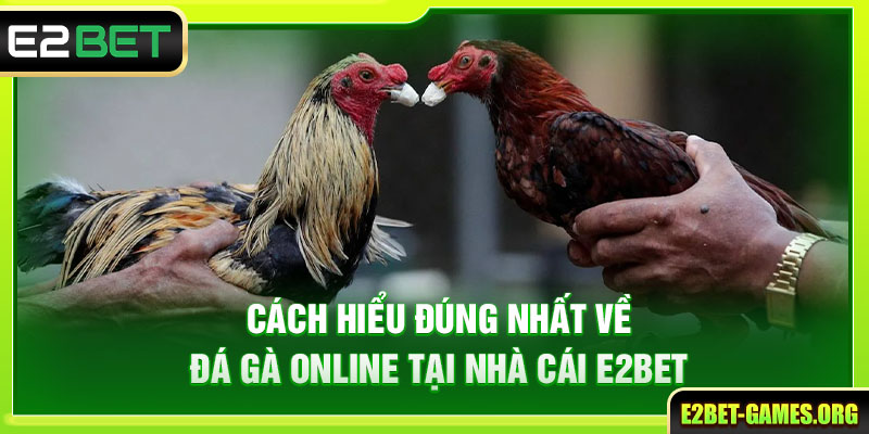Cách hiểu đúng nhất về đá gà online
