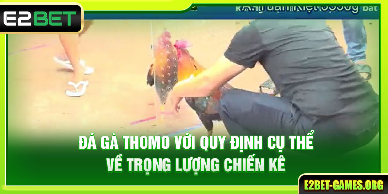 Hướng Dẫn Trải Nghiệm Đá Gà Thomo E2BET Toàn Diện Từ A Đến Z 3 Đá gà thomo với quy định cụ thể về trọng lượng chiến kê
