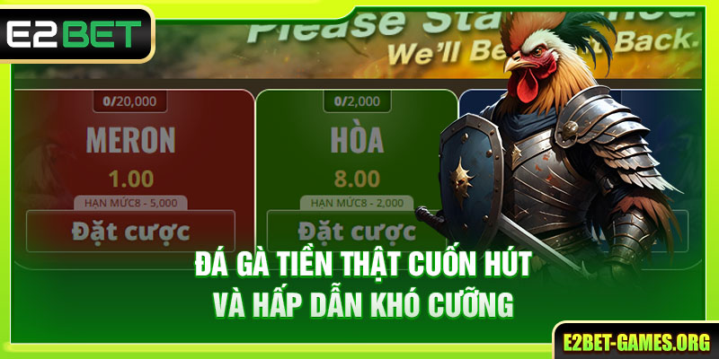 Đá gà tiền thật cuốn hút và hấp dẫn khó cưỡng