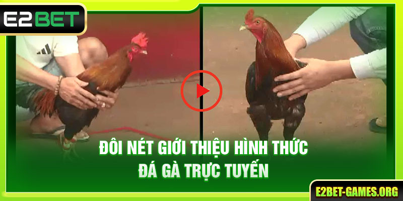 Đôi nét giới thiệu hình thức đá gà trực tuyến