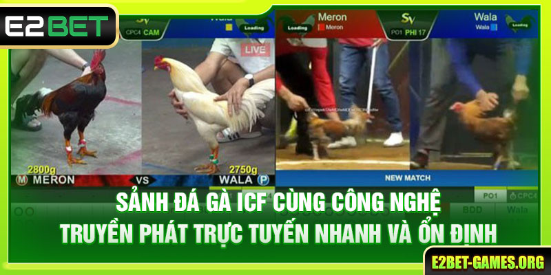 Đá Gà E2BET Mang Lại Trải Nghiệm Kịch Tính Với Tỷ Lệ 1:90 3 Sảnh ICF với công nghệ truyền phát nhanh và ổn định