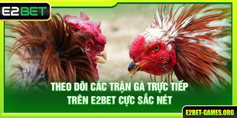 Đá Gà Online Trên E2BET Với Những Trận Đấu Đầy Kịch Tính 4 Theo dõi các trận gà trực tiếp cực sắc nét