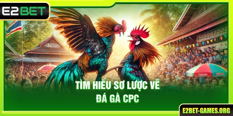 Tìm hiểu sơ lược về đá gà CPC